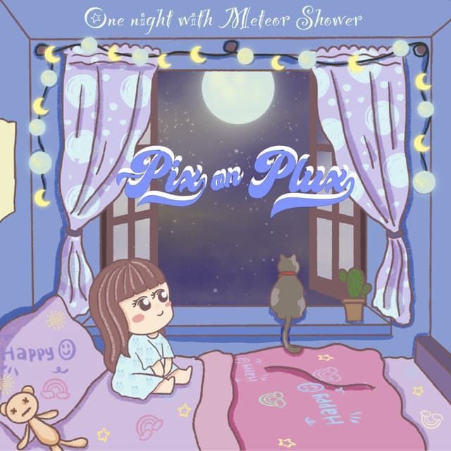 One night with meteer shower